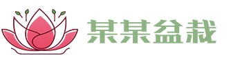 wepoker下载-wepoker中文版官网:加入全球扑克竞技的行列